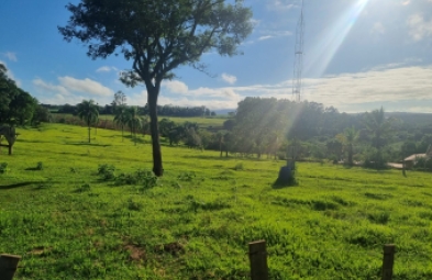 Sítio para venda em Avaré